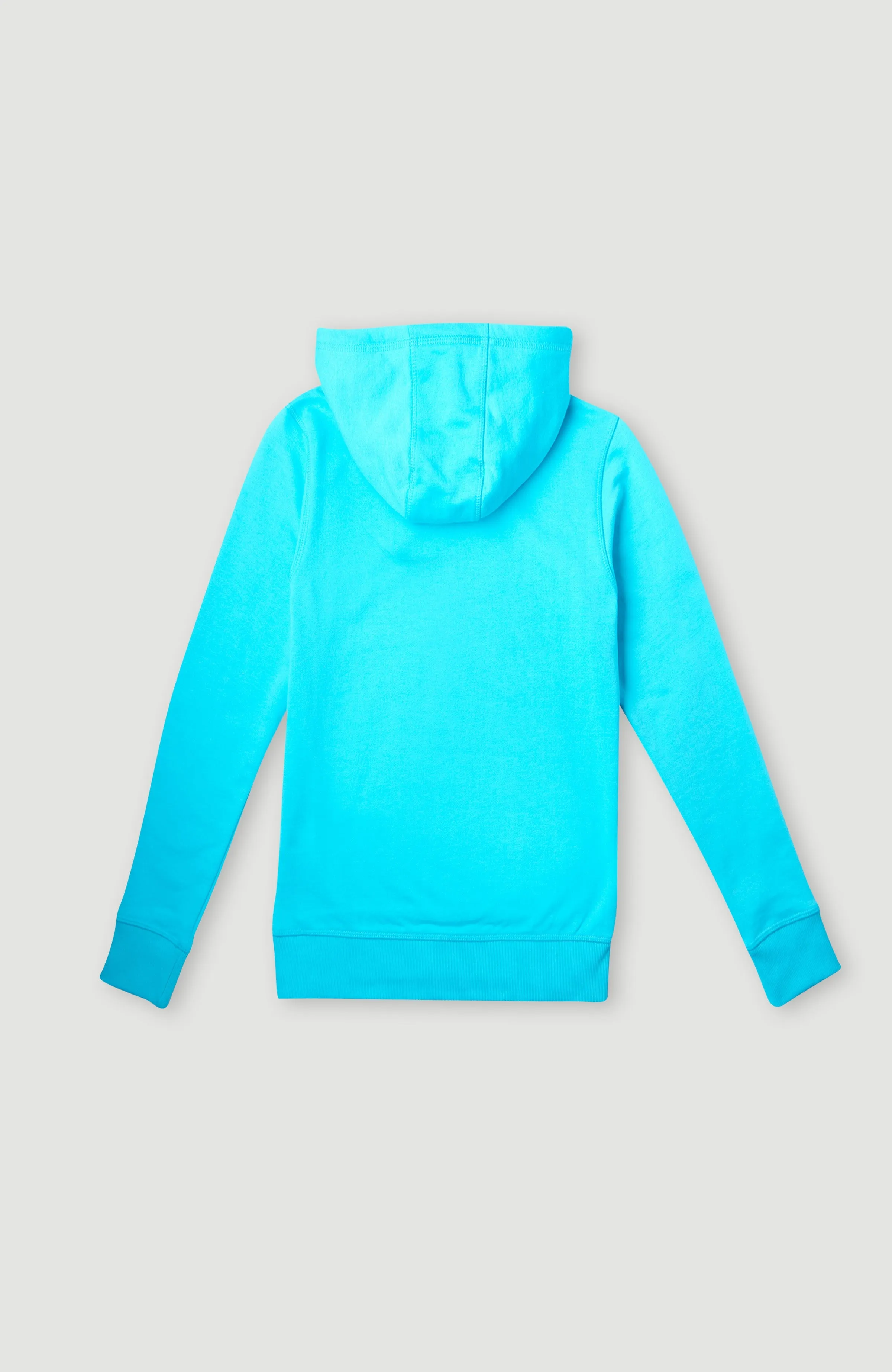 Circle Surfer Hoodie | Bachelor Button