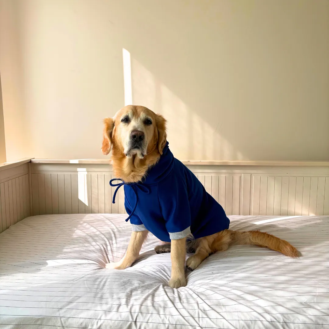 PoochMate Cobalt Blue Organic Cotton Fleece Dog Sweatshirt