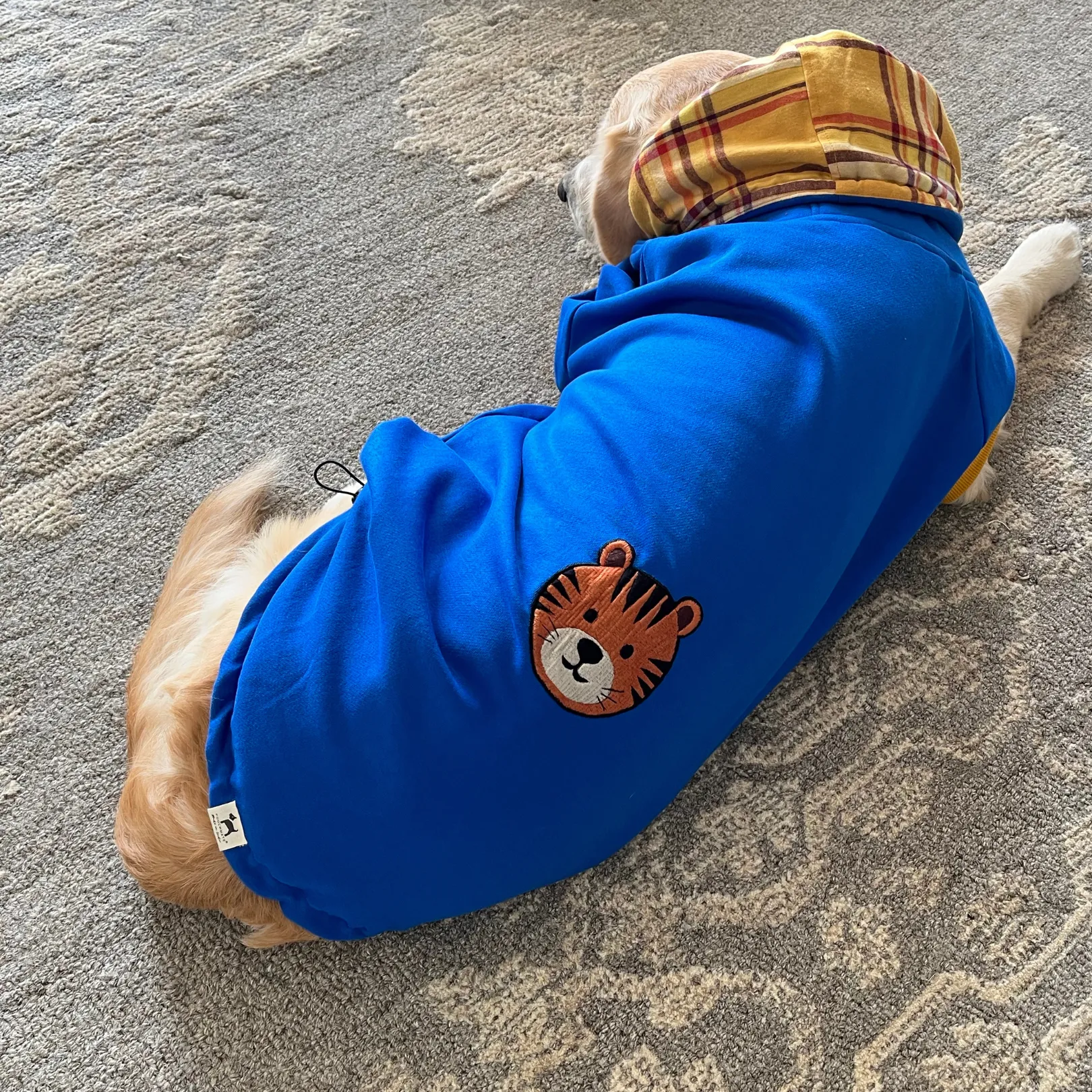 PoochMate Cobalt Tiger Dog Sweatshirt